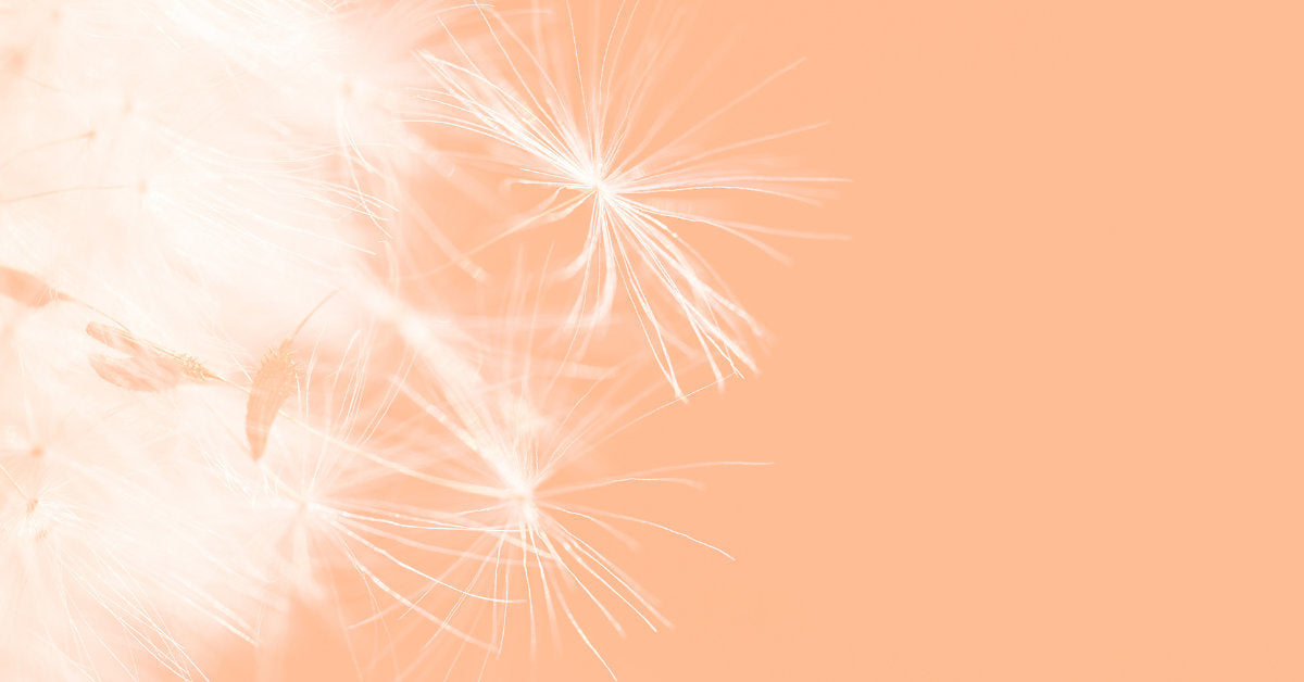 Psykolog til redusert pris - personlighetstester.no