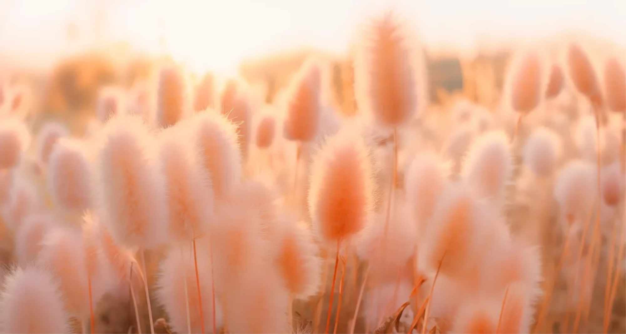 Terapi Med Psykolog - personlighetstester.no